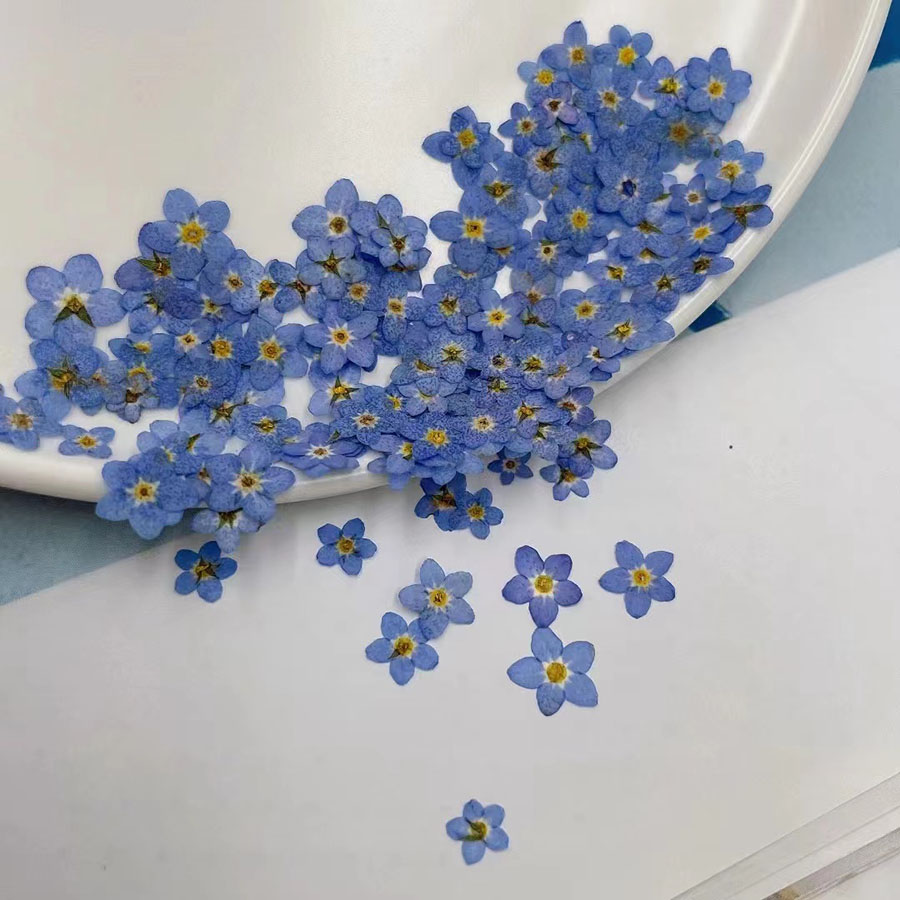 60pcs Mini Pressed Dried Flowe - Resin Art Case recension och pris