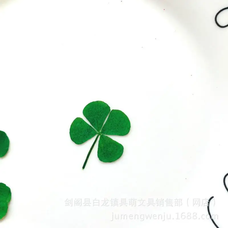 12Pcs Lucky Dried Leaf Clover  - Resin Art Baby recension och pris