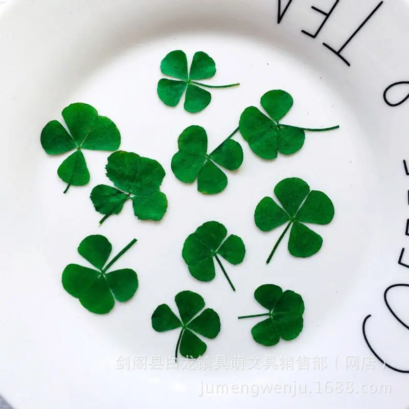12Pcs Lucky Dried Leaf Clover  - Resin Art Baby recension och pris
