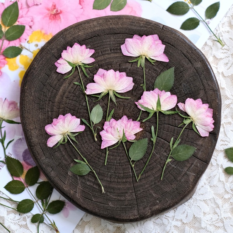 12pcs,Real Dried Pressed Flowe - Resin Art Baby recension och pris